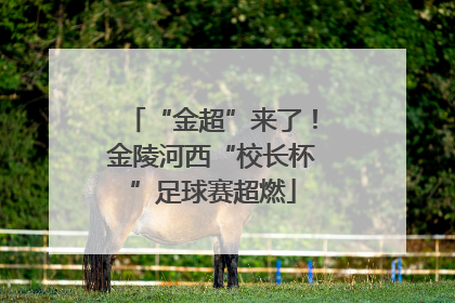 “金超”来了！金陵河西“校长杯”足球赛超燃