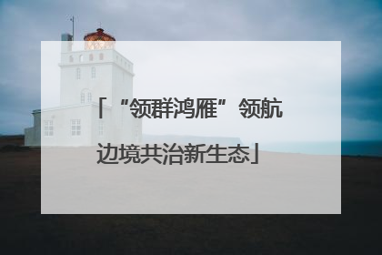 “领群鸿雁”领航边境共治新生态