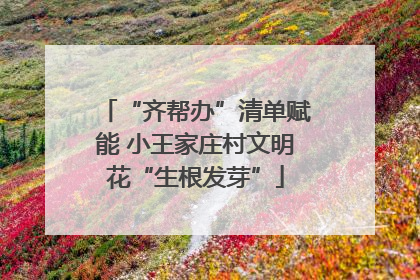 “齐帮办”清单赋能 小王家庄村文明花“生根发芽”