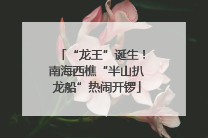 “龙王”诞生！南海西樵“半山扒龙船”热闹开锣
