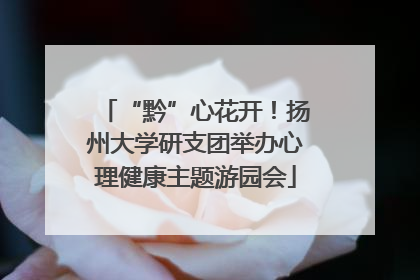 “黔”心花开！扬州大学研支团举办心理健康主题游园会