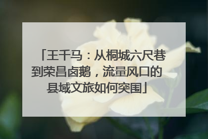 王千马：从桐城六尺巷到荣昌卤鹅，流量风口的县域文旅如何突围