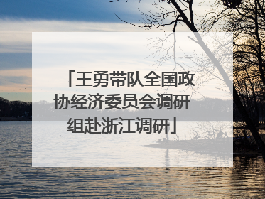 王勇带队全国政协经济委员会调研组赴浙江调研