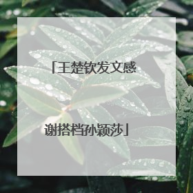 王楚钦发文感谢搭档孙颖莎