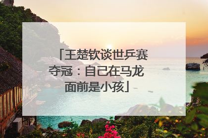 王楚钦谈世乒赛夺冠：自己在马龙面前是小孩