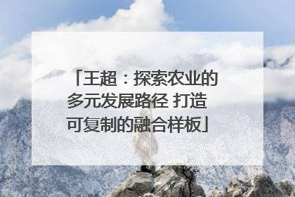 王超：探索农业的多元发展路径 打造可复制的融合样板