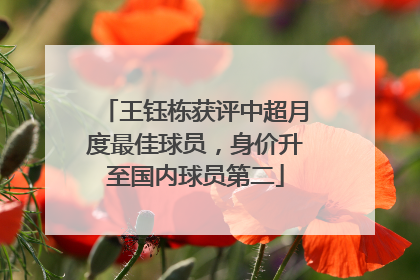 王钰栋获评中超月度最佳球员，身价升至国内球员第二