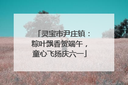 灵宝市尹庄镇：粽叶飘香贺端午，童心飞扬庆六一