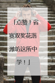 点赞！省赛双奖花落潍坊这所中学！