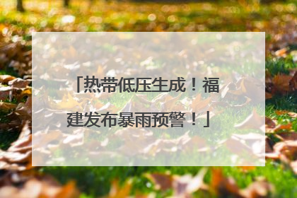 热带低压生成！福建发布暴雨预警！