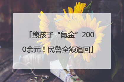 熊孩子“氪金”2000余元！民警全额追回