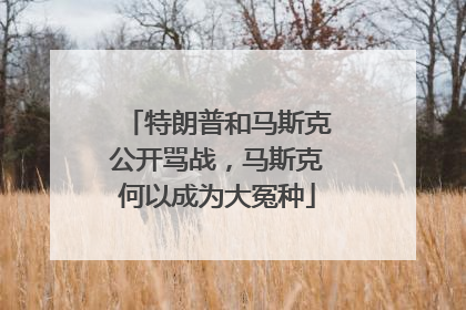 特朗普和马斯克公开骂战，马斯克何以成为大冤种