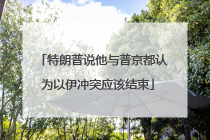 特朗普说他与普京都认为以伊冲突应该结束