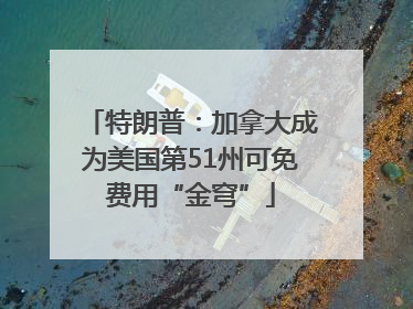 特朗普：加拿大成为美国第51州可免费用“金穹”