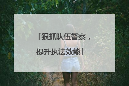 狠抓队伍督察，提升执法效能