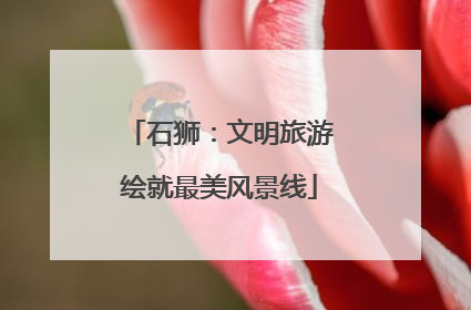 石狮：文明旅游绘就最美风景线