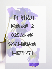 石斛花开 悦动龙西 2025龙西乡荧光村跑活动圆满举行