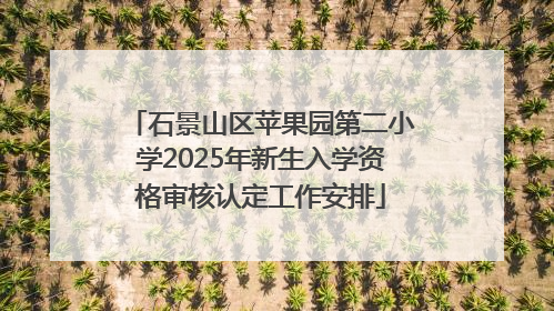 石景山区苹果园第二小学2025年新生入学资格审核认定工作安排