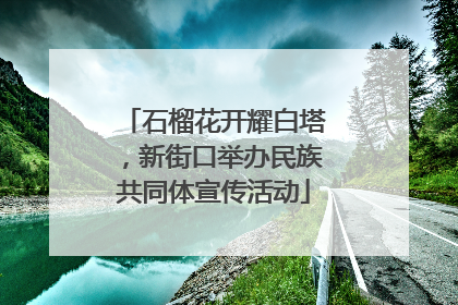 石榴花开耀白塔，新街口举办民族共同体宣传活动