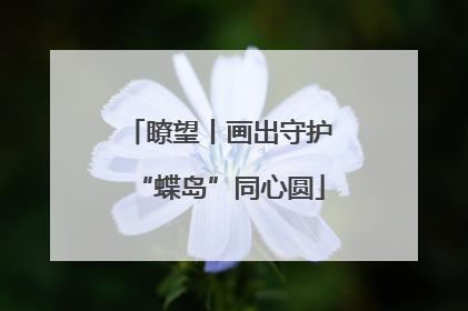 瞭望丨画出守护“蝶岛”同心圆