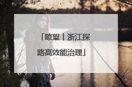 瞭望丨浙江探路高效能治理