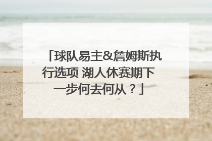 球队易主&詹姆斯执行选项 湖人休赛期下一步何去何从？