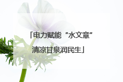 电力赋能“水文章” 清凉甘泉润民生