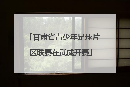甘肃省青少年足球片区联赛在武威开赛