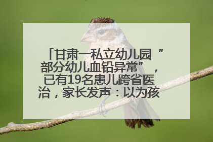 甘肃一私立幼儿园“部分幼儿血铅异常”，已有19名患儿跨省医治，家长发声：以为孩子出问题，没想过会与学校有关