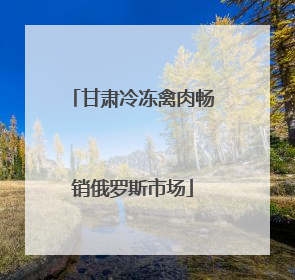 甘肃冷冻禽肉畅销俄罗斯市场