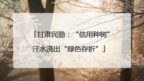 甘肃民勤：“信用种树” 汗水浇出“绿色存折”