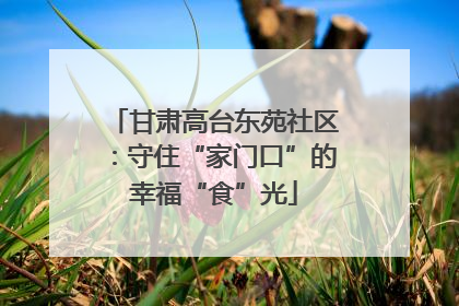 甘肃高台东苑社区：守住“家门口”的幸福“食”光