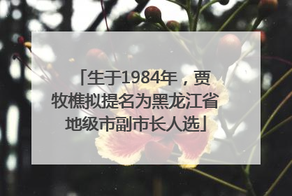 生于1984年，贾牧樵拟提名为黑龙江省地级市副市长人选