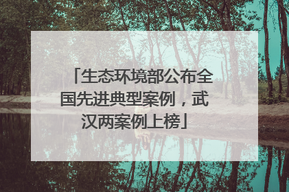 生态环境部公布全国先进典型案例，武汉两案例上榜