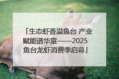 生态虾香溢鱼台 产业赋能谱华章——2025鱼台龙虾消费季启幕