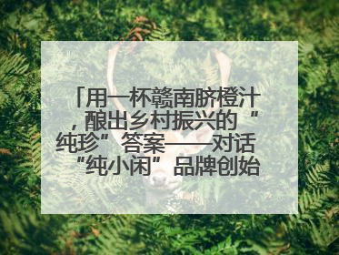 用一杯赣南脐橙汁，酿出乡村振兴的“纯珍”答案——对话“纯小闲”品牌创始人陈爱珍