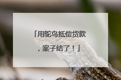 用鸵鸟抵偿货款，案子结了！