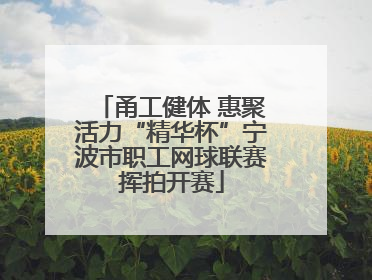 甬工健体 惠聚活力“精华杯”宁波市职工网球联赛挥拍开赛