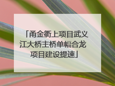 甬金衢上项目武义江大桥主桥单幅合龙 项目建设提速