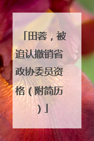 田蓉，被追认撤销省政协委员资格（附简历）