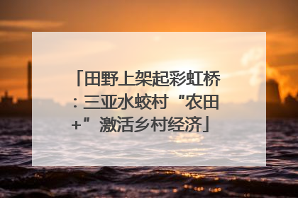 田野上架起彩虹桥：三亚水蛟村“农田+”激活乡村经济