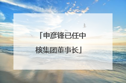 申彦锋已任中核集团董事长