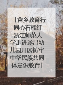 畲乡教育行 同心石榴红 浙江师范大学走进遂昌幼儿园开展铸牢中华民族共同体意识教育