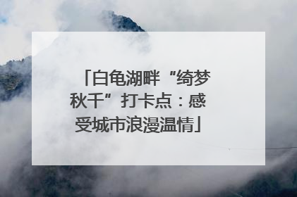 白龟湖畔“绮梦秋千”打卡点：感受城市浪漫温情