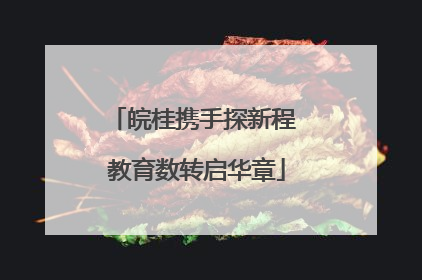 皖桂携手探新程 教育数转启华章