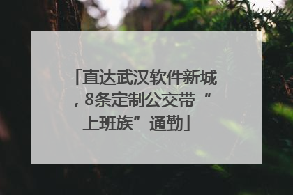 直达武汉软件新城，8条定制公交带“上班族”通勤