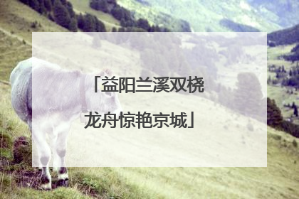 益阳兰溪双桡龙舟惊艳京城