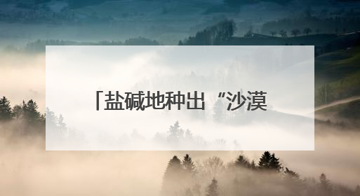 盐碱地种出“沙漠人参” 潍坊滨海解锁生态致富密码