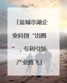 盐城亭湖企业科创“出圈”，专利引领产业腾飞