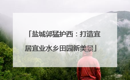 盐城郭猛护西：打造宜居宜业水乡田园新美景